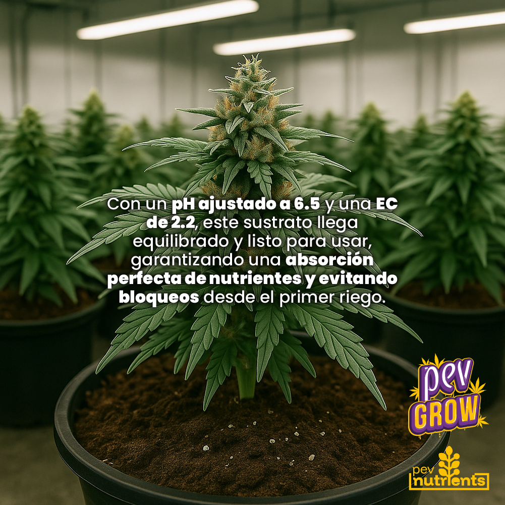 Terra Autoflower Pev Nutrients